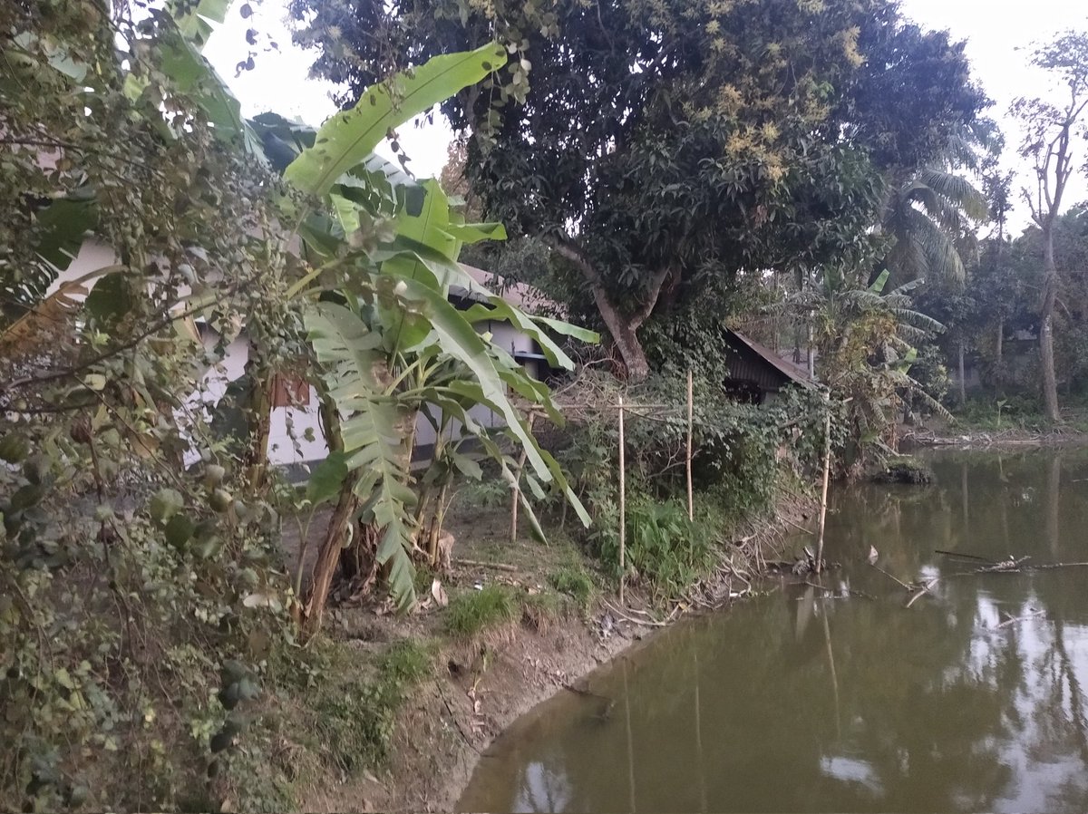 DigontoJoydher's tweet photo. Gornodi hostel https://t.co/hvtGCZvVjo