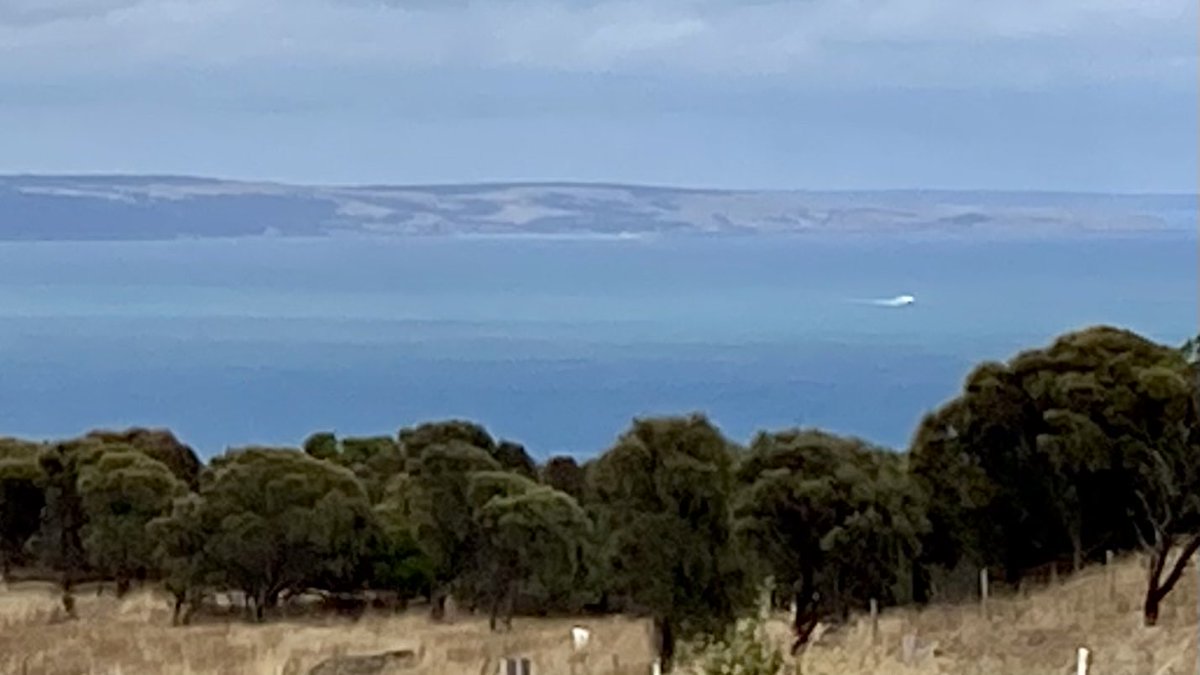 The SeaLink Ferry heads back to Cape Jervis from #KangarooIsland 
⛴️😃
