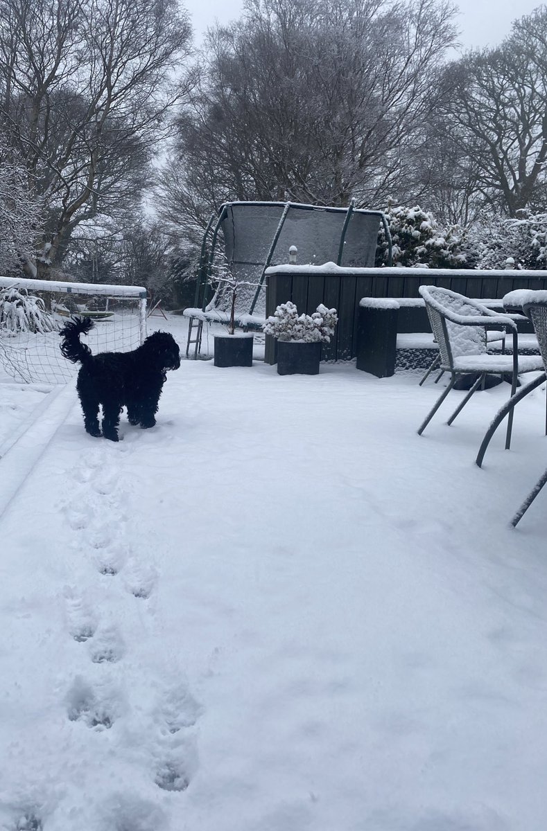 Looks like a snow day today… ⛄️⛄️⛄️