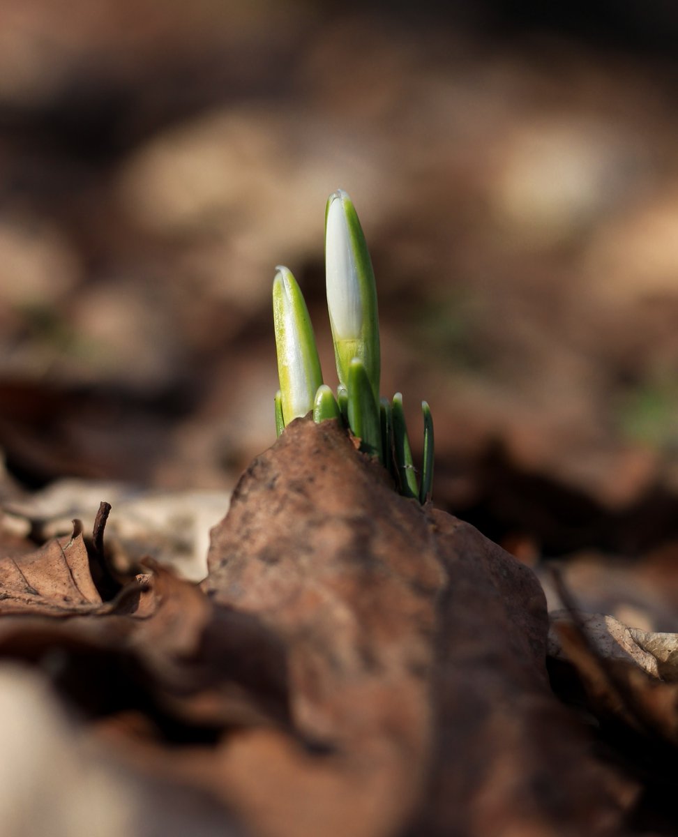 WorkingWellDr's tweet photo. How are you? Things are rough in healthcare at present
If we find helpful strategies when stress piles up it can make a difference. Something I learnt was the power of small.
Start small; with a really small positive change. And, if possible, repeat that small action.
#change https://t.co/HWzGin25jd