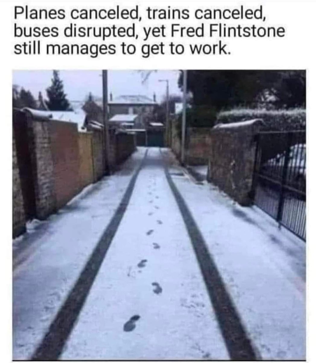 🏴󠁧󠁢󠁥󠁮󠁧󠁿⚒🫧 J O D I E 🫧⚒🏴󠁧󠁢󠁥󠁮󠁧󠁿 tweet media