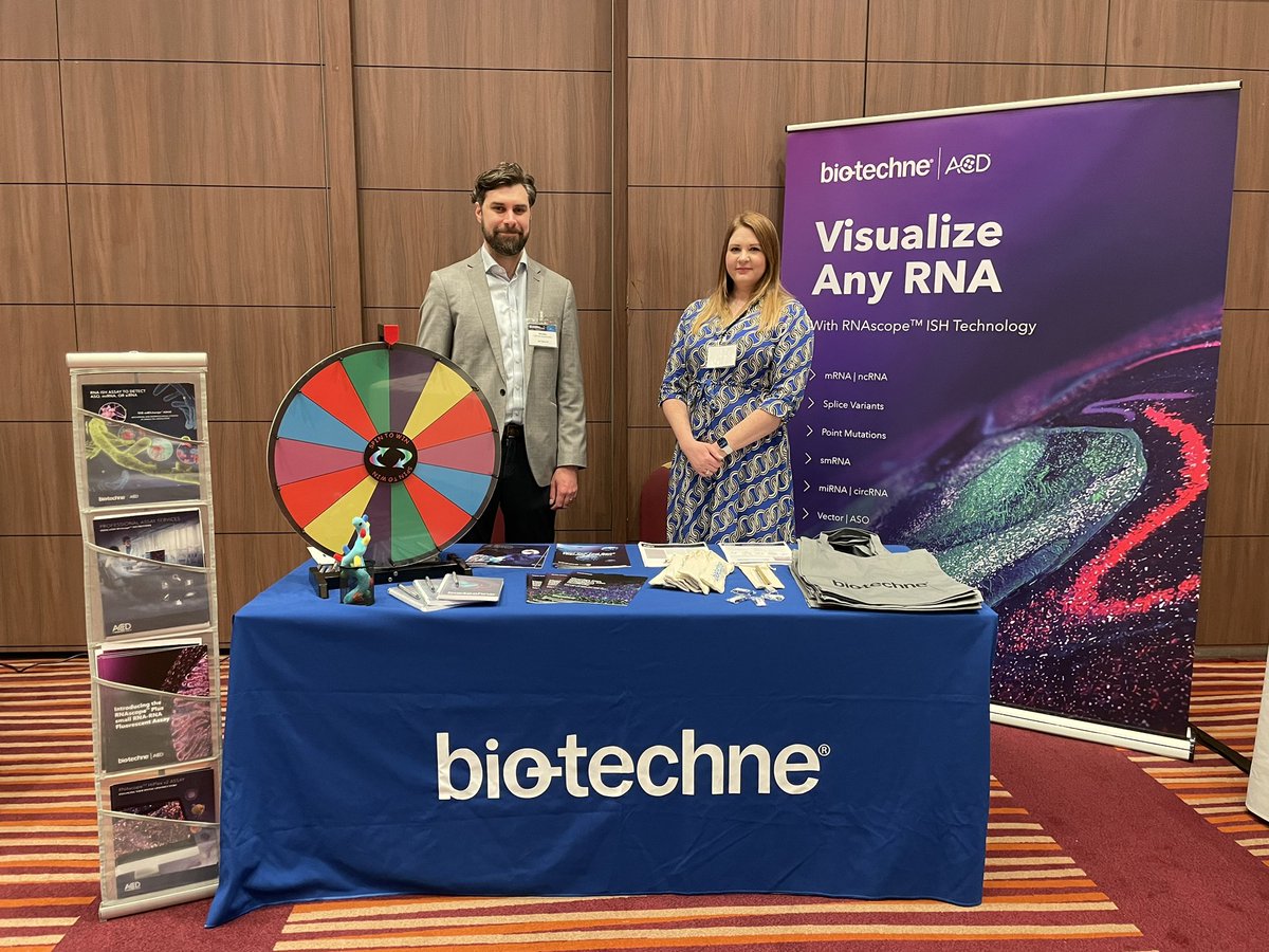 Nat_ACDbioUK's tweet photo. Excited to be at Next-Gen Genomics &amp; Proteomics today! Come and talk to us and spin the wheel to be in with a chance to win your very own RNA! #celltherapy #genetherapy #spatialbiology https://t.co/XA6LLX9l0w