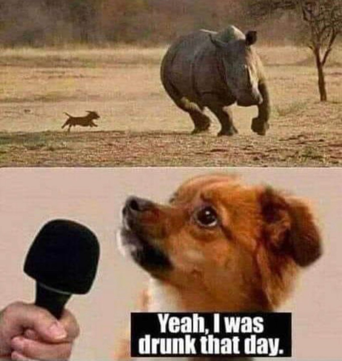 IdWaxxThat's tweet image. Let the truth set you free! @TuckerCarlson Great job #J6CoverUp Everyone is pushing you to stop exposing the truth,  is exposing their lies, just by their panic! They’re narrative is crushed! Keep spreading that truth, they’re running even the rinos!! #ExposeItAll