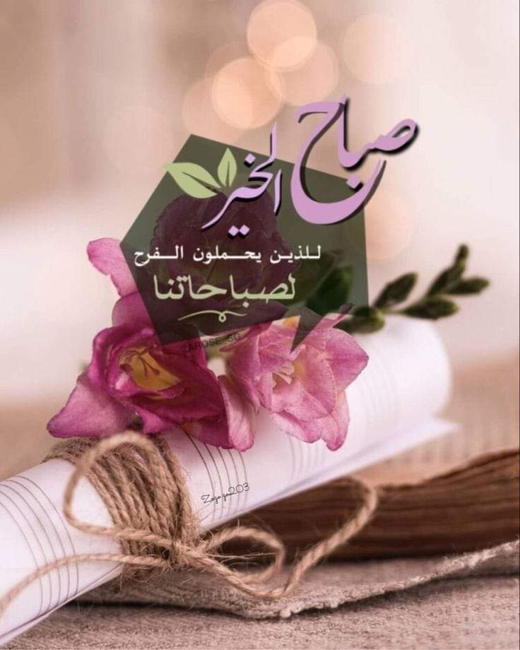 ╗═══════🍃🩷🍃═╔
 الصباح لا يتغير 🌤
لكنه كل يوم يأتي بشكل أجمل
 بقدر ما تحمله طمأنينة أنفسنا ثق بالله
 ليكون اليوم أفضل من الأمس 🍃🩷

*✨صباحكم خیر✨*

╝═🍃🩷🍃═══════╚

#صباح_الخير_والسعاده