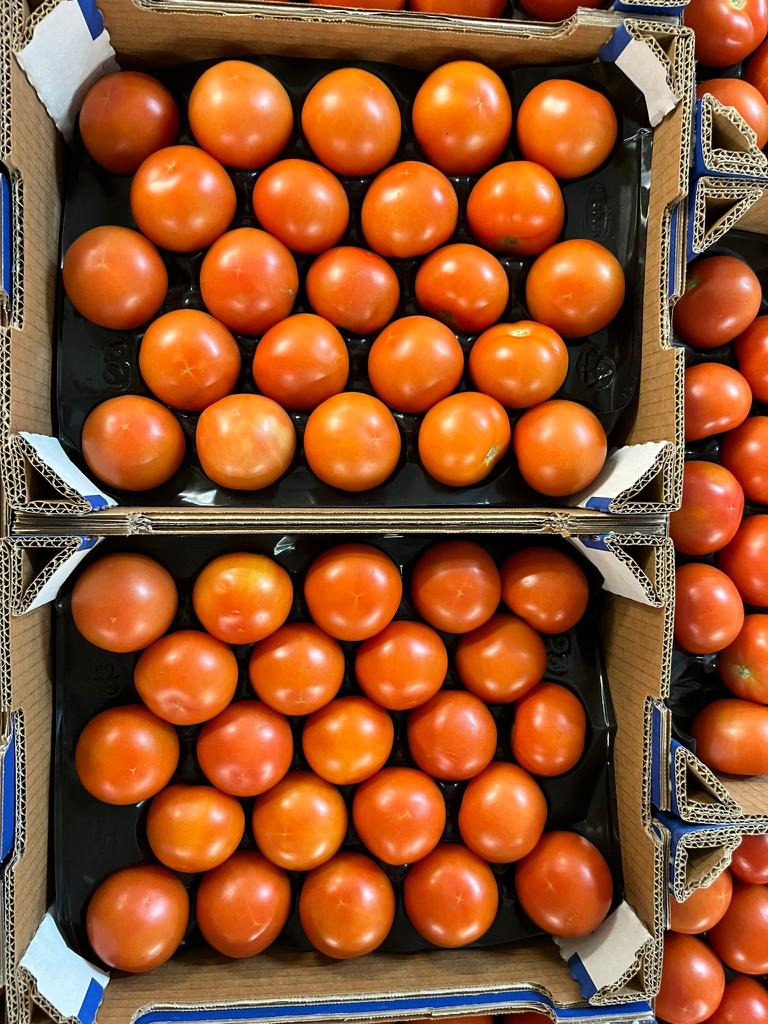 Moroccan Tomatoes arriving with us tomorrow. Get yours now before they're all gone 🔥🇲🇦🍅

6kg G/M/MM

📞01322 425555
📧marketsales@westfaliafruit.com