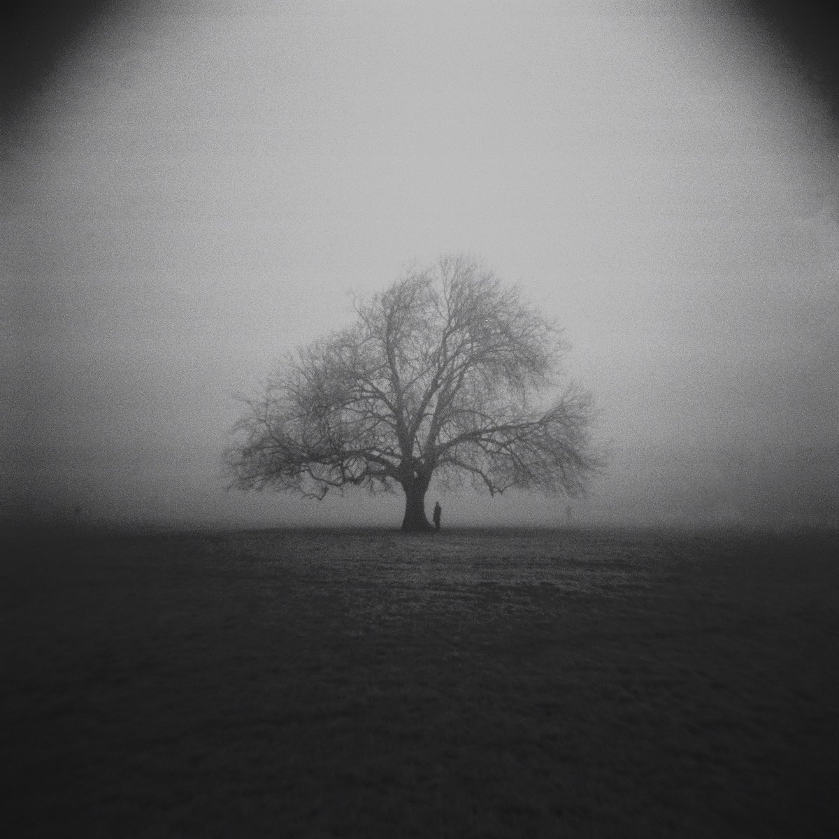 Smokeylovebeard's tweet image. Peckham Rye 

#holga @ILFORDPhoto #hp5