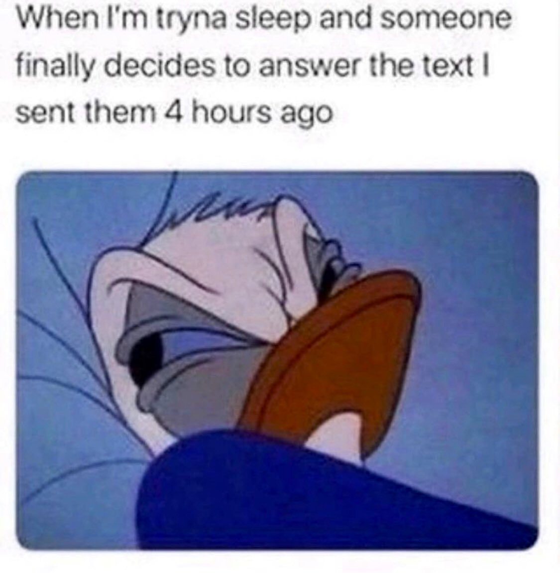 introvert memes (@introvertsmemes) on Twitter photo 