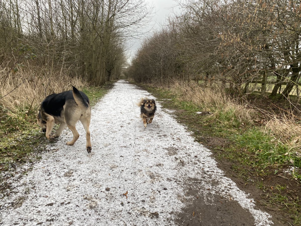 Lovely snowy start to the day with a bit of #greensocialprescribing #selfcare #selfmanagement of my #EDS waking up very stiff and sore post covid on #SocialPrescribingDay