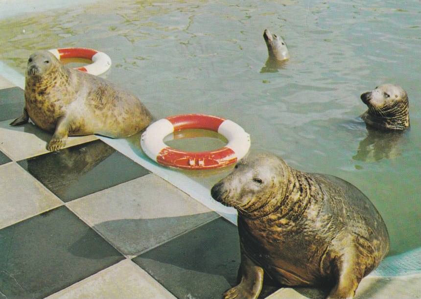 We surprised Rosemary and Martin yesterday.