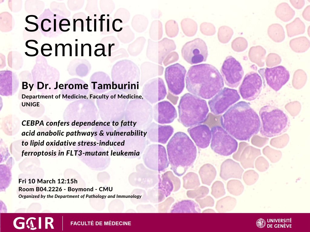 Tomorrow in the CMU, Professor Jerome Tamburini will present his work! 'CEBPA confers dependence to #fattyacid #anabolic pathways and vulnerability to #lipid #oxidative stress-induced #ferroptosis in FLT3-mutant #leukemia' Fri 10 at 12:15h Room B04.2226 bit.ly/3J0xauZ