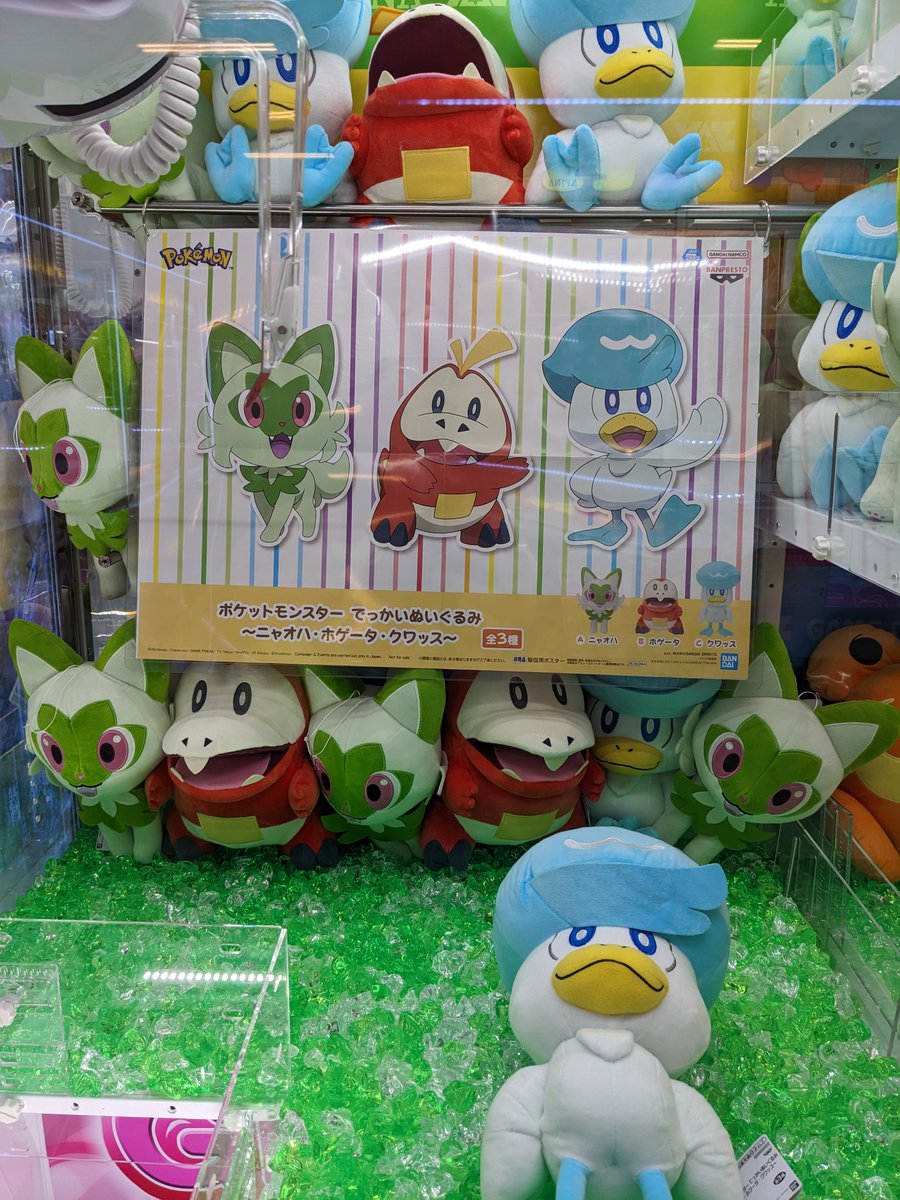 アピナ蒲郡店 on X: アピナ蒲郡店 on X: