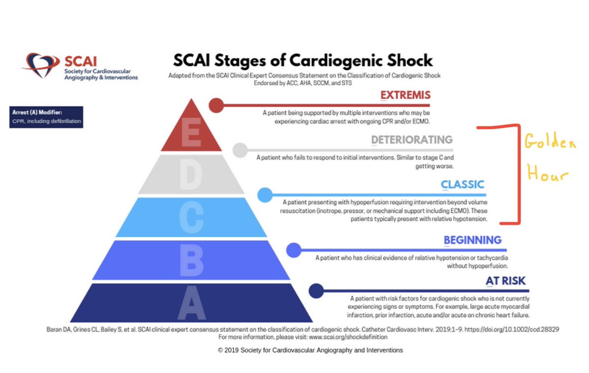 Trinava Roy, DO tweet media