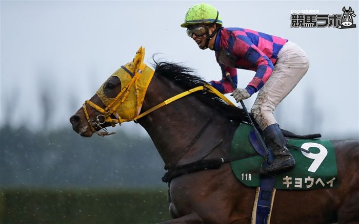 まぁミオリパヤヤームとか入れてる馬主さんですしお寿司 