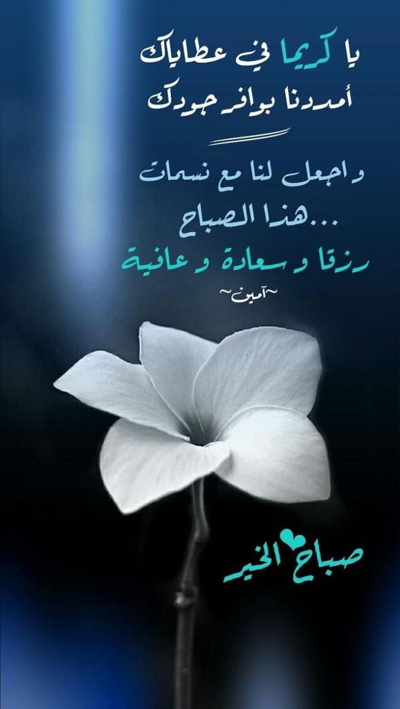 12_alrooh's tweet photo. https://t.co/bnQqhZfCUb