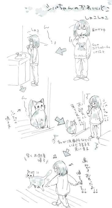 シパちゃん日記 