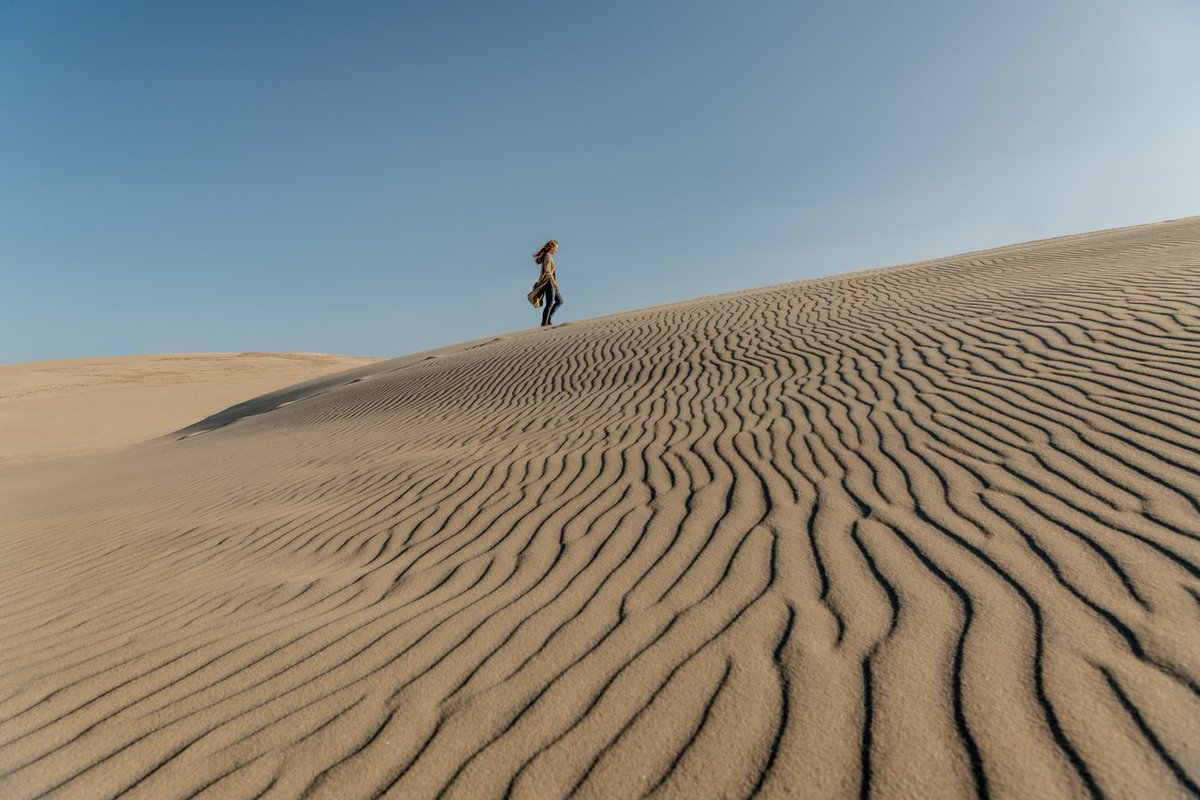 いやー！日本は砂丘はあれど、ここまで砂漠感はないですよね！！
クルシュー砂州並みですかねー。笑
https://t.co/lhML4J3v71 