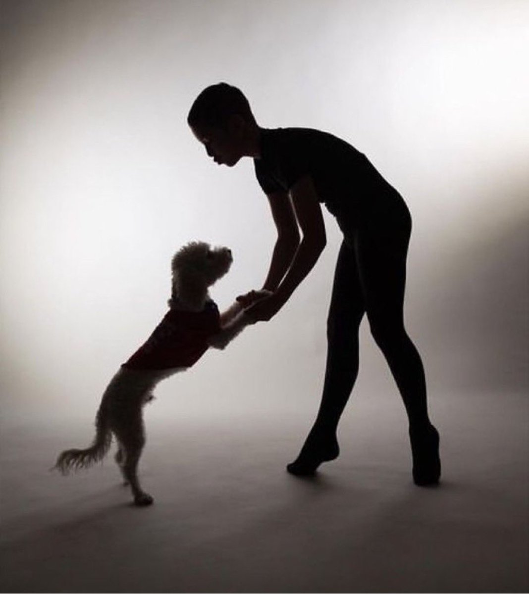 Credits @notosphotos_dance <a href="/leonidas/">Leonidas Chocolats</a>.adarmes

Dancers Love Dogs 
➖➖➖➖