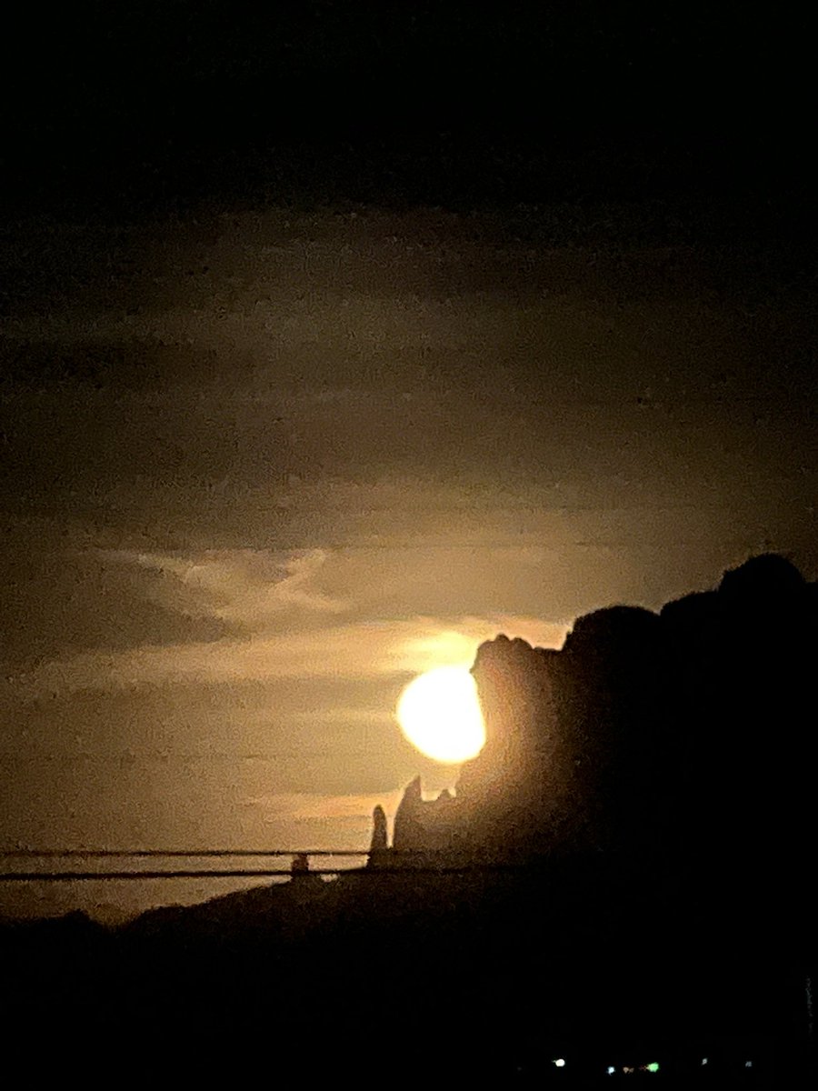 𝑨𝒎𝒊𝒂𝒉 tweet media