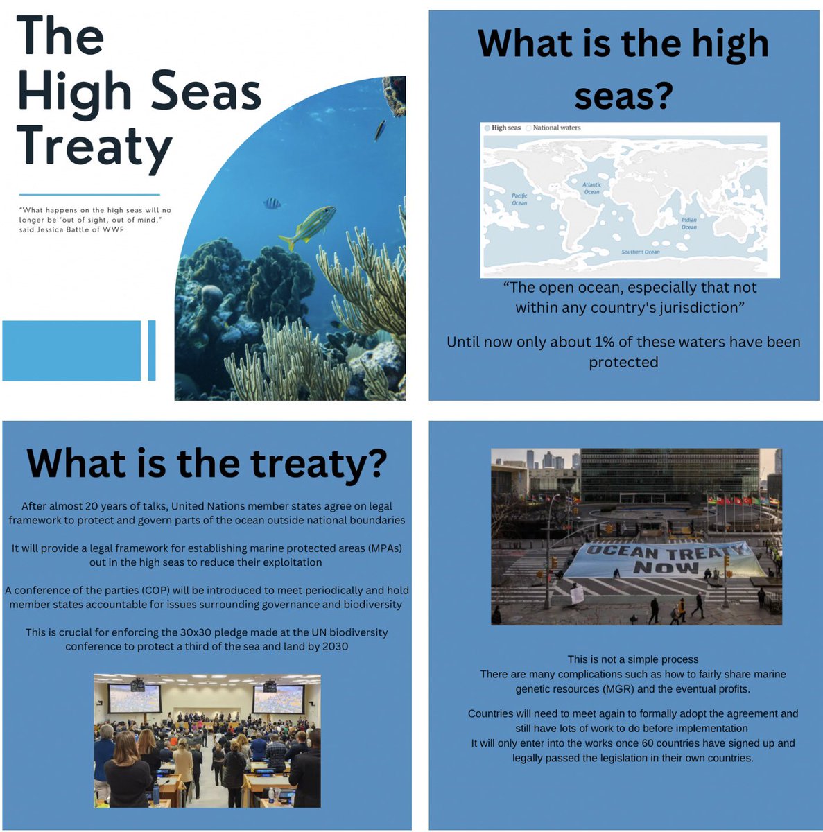 The High Seas Treaty 

A huge step in the right direction for high seas protection and governance

#marineconservation #highseastreaty 

See our instagram post for the full story !