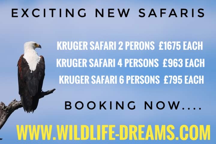 On your bucket list...

#wildlifedreams #safari #bucketlist #Africa #wildlife #big5 #wildlifeholidays #travel #travelagent #wildlifehides #wildlifephotography