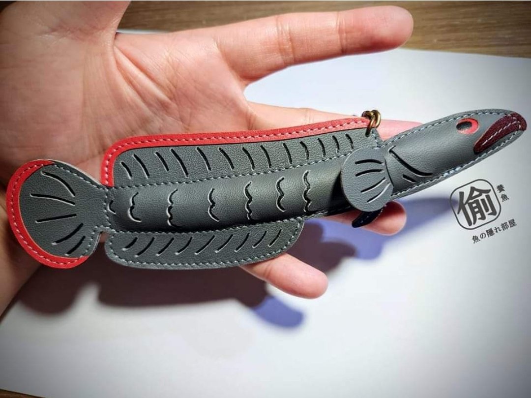 drunkn11's tweet image. Leather Channa fireback, made in Taiwan. 

#channa
#fireback
#leather
#雷龍魚
#偷養魚