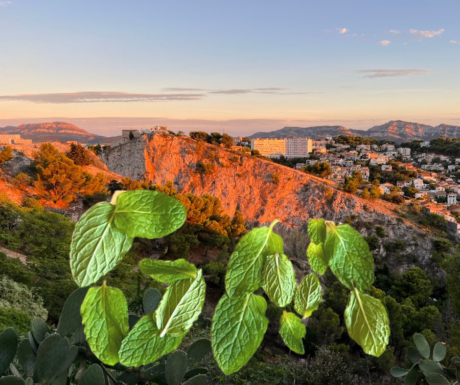 warrenhimself 🎟💚 tweet media