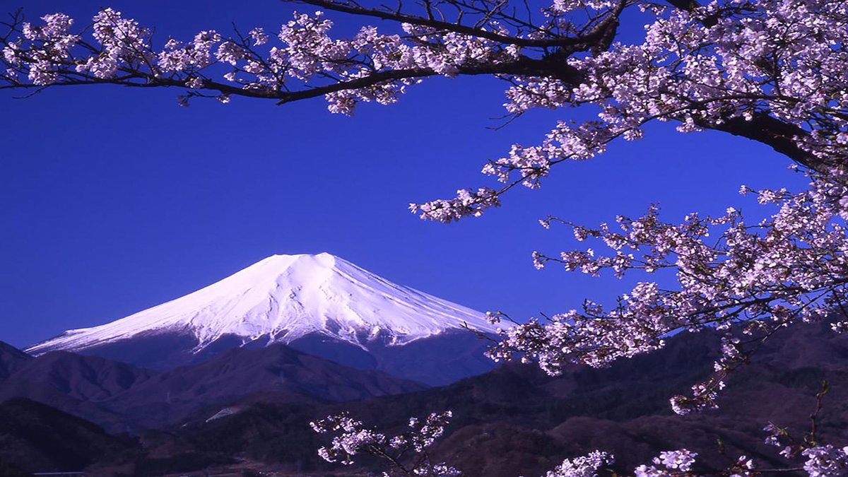 sage_s65739624's tweet photo. The most popular tourist destination in #Japan is #Mount_Fuji, which has a height of 3,776 meters. The age of Mount Fuji is not proven. While its base may date back as far as 65 million years, #Facts_About_Mount_Fuji #Fun_Facts #Fuji_Interesting_Facts
https://t.co/vL4E6Ao9iD https://t.co/JjBywJrDmH