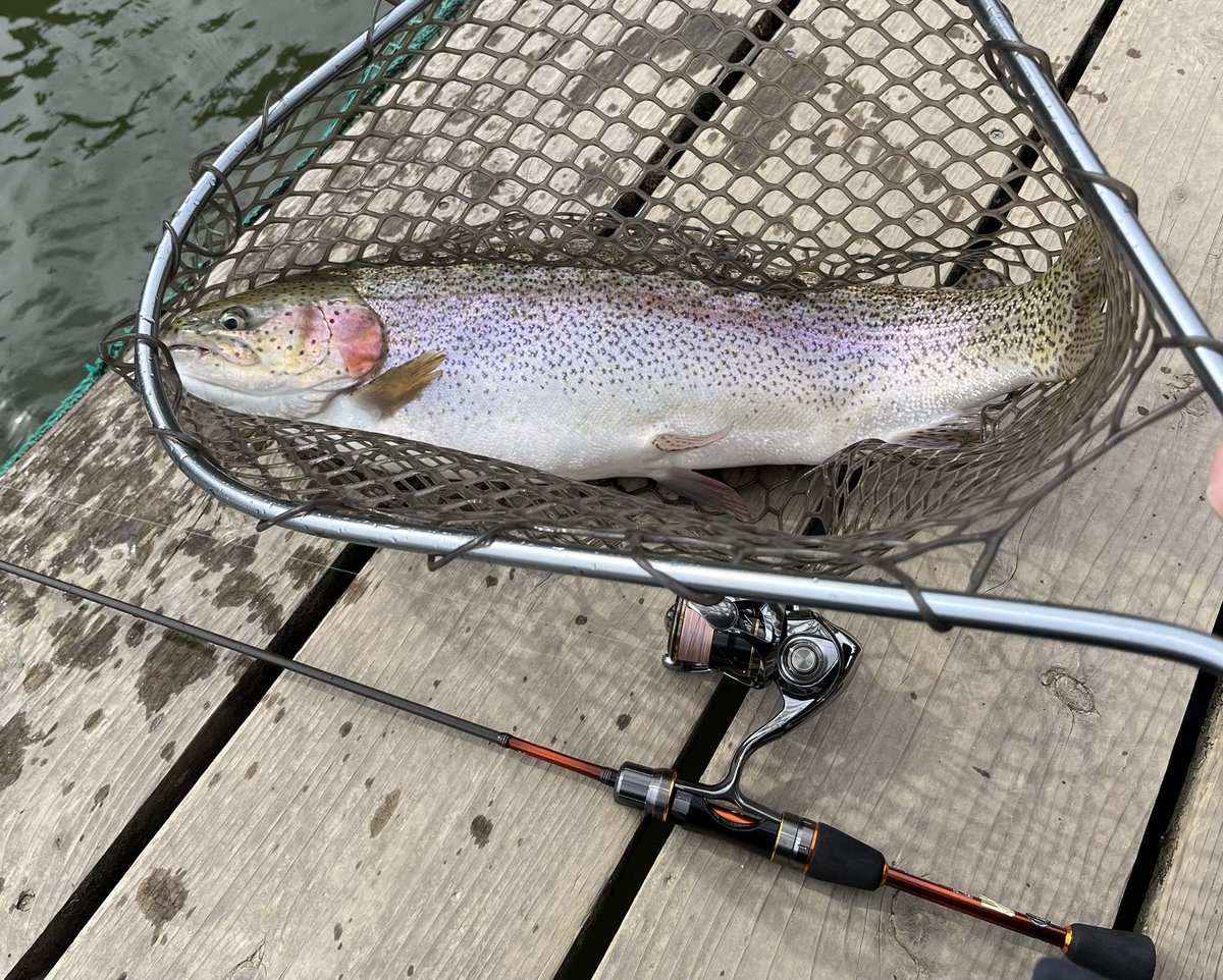 これがロクマルクラスだ(ろくまるとは言ってない) 