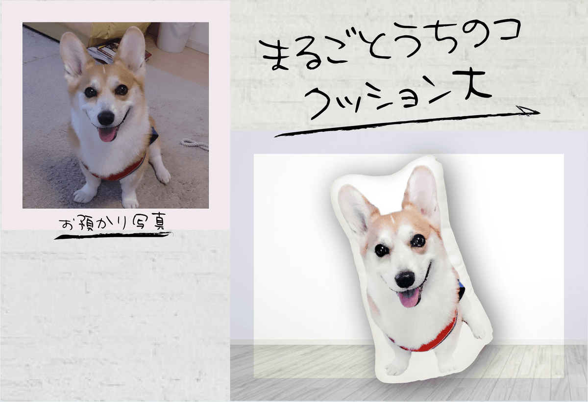 colcolle_jp's tweet photo. 【制作事例】
S様より「ガラスコースター スクエア」「まるごとうちのコクッション大」をご注文いただきました。

ご注文ありがとうございました！

#colcolle #カラコレ #オリジナルグッズ #グッズ #制作事例 #クッション #コースター #オリジナルクッション #オリジナルコースター https://t.co/Nwy1P5592i