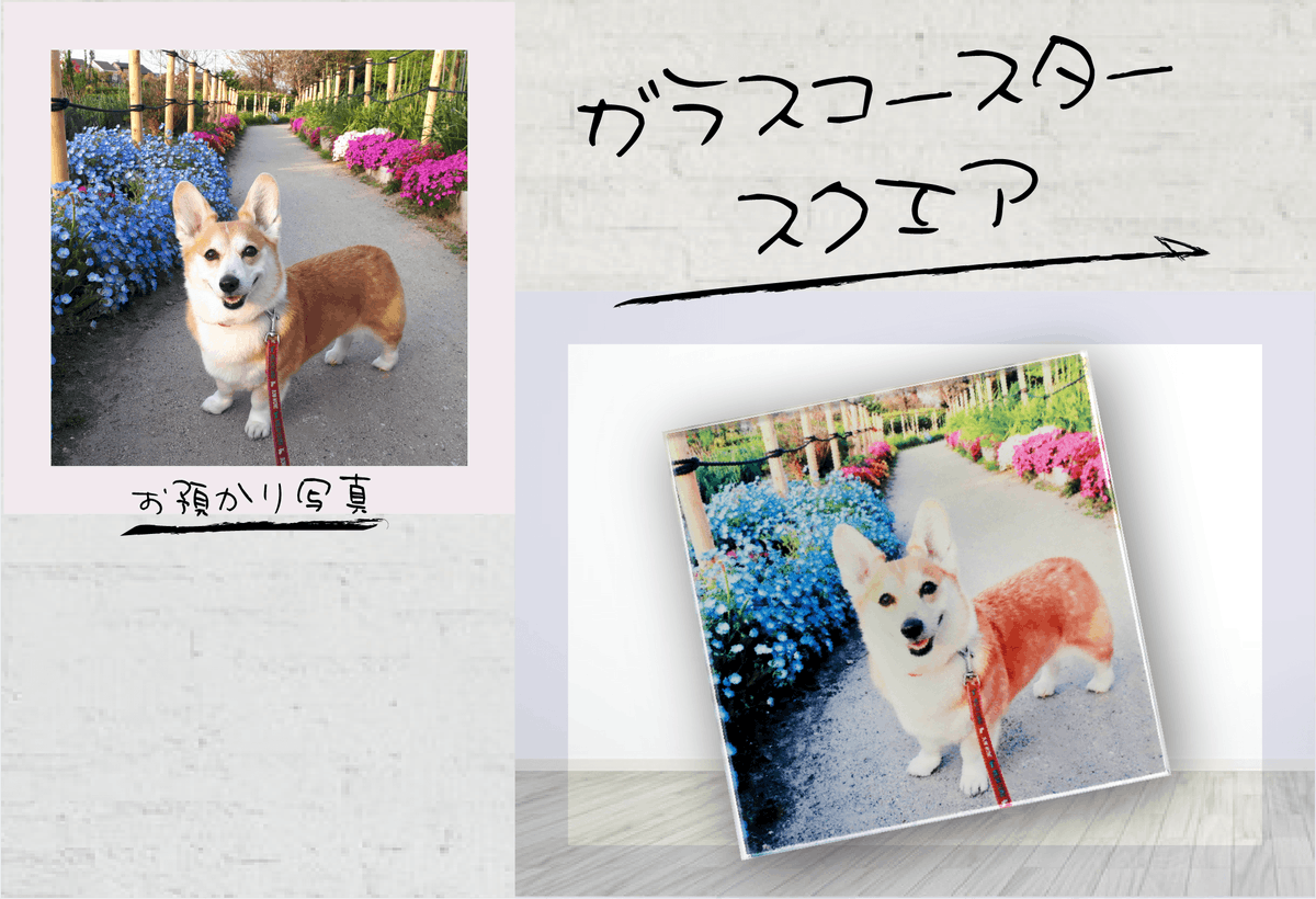 colcolle_jp's tweet photo. 【制作事例】
S様より「ガラスコースター スクエア」「まるごとうちのコクッション大」をご注文いただきました。

ご注文ありがとうございました！

#colcolle #カラコレ #オリジナルグッズ #グッズ #制作事例 #クッション #コースター #オリジナルクッション #オリジナルコースター https://t.co/Nwy1P5592i