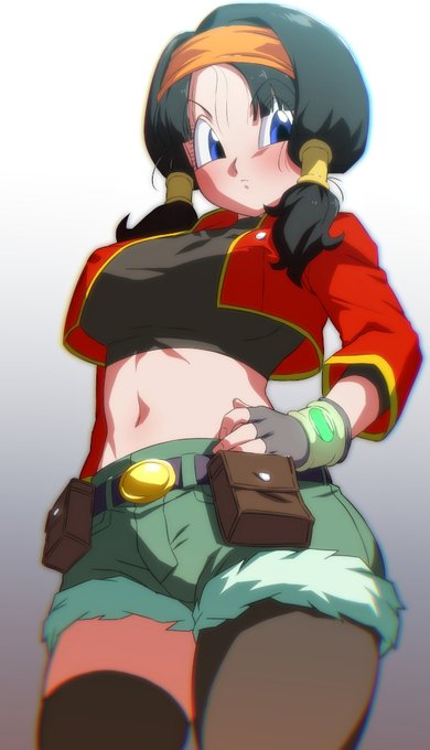 パンちゃんゼノ衣装ビーデルさん 