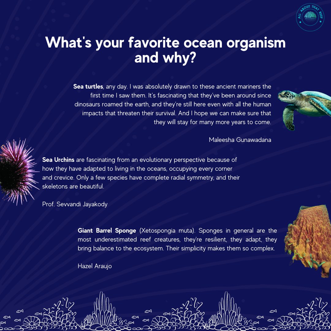 We asked 3 women working in the marine field, 3 questions this Women's day!
Happy #IWD to all you Ocean heroes💙 Let's continue to make waves.