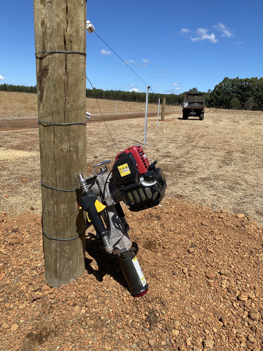 Jamie Nicolaou tweet media