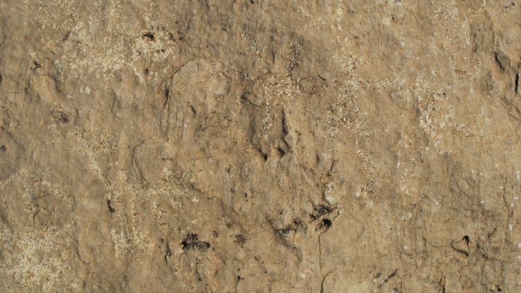 Archaeo_Oman's tweet image. Omani rocks are full of stories that want to be discovered!
#Oman #BeautyHasAnAddress #beautifuloman #ExperienceOman #OmanByYou