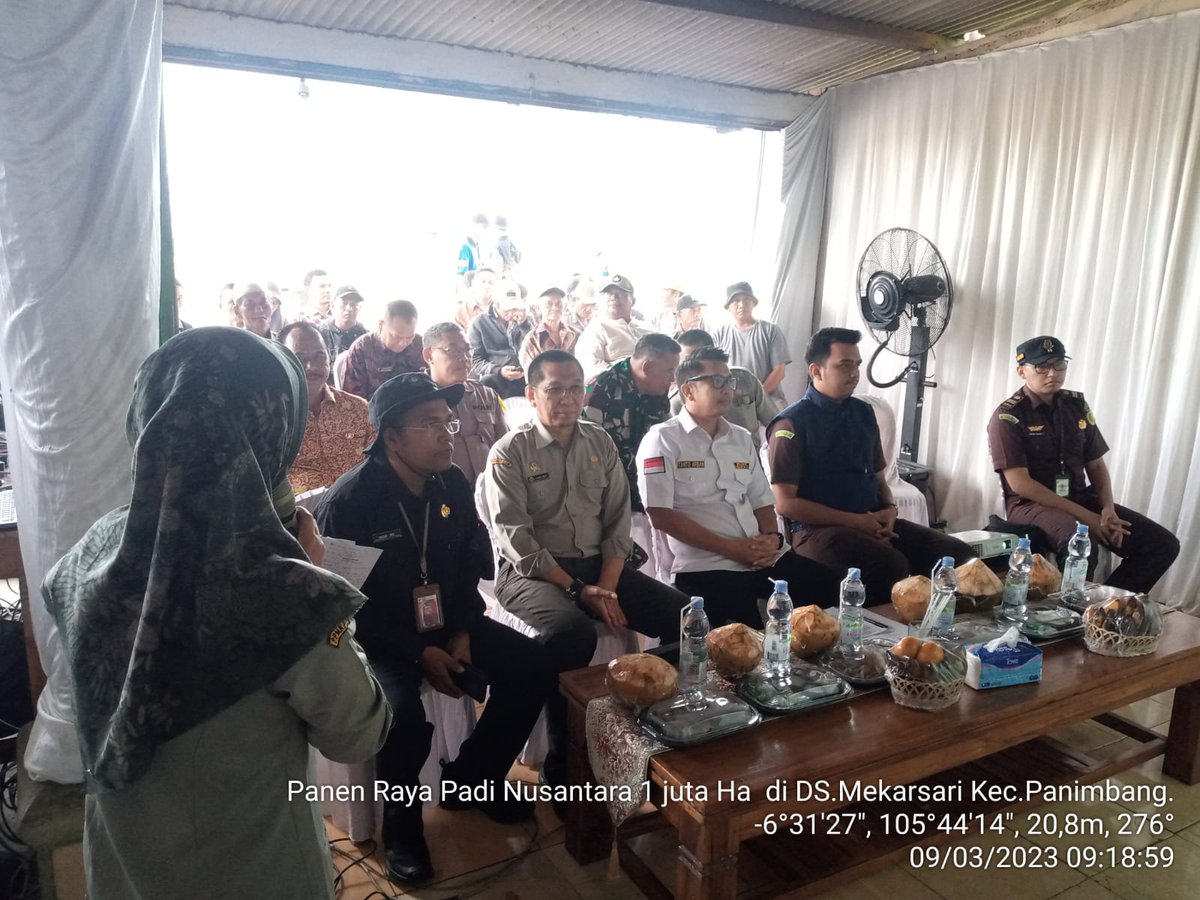 dpkppandeglang's tweet photo. Kepala Dinas Pertanian dan Ketahanan Pangan #DPKP mendampingi Wakil Bupati Pandeglang @TantoArban  melaksanakan panen raya padi Nusantara 1 juta Ha bersama Kapus @PPMKP  Yusral Tahir di Desa Mekarsari @KPanimbang Kamis, 09-03-2023

Cc @nasirdistan @irnadim99 @Ditjen_TP_News https://t.co/nO4A2HVk1J