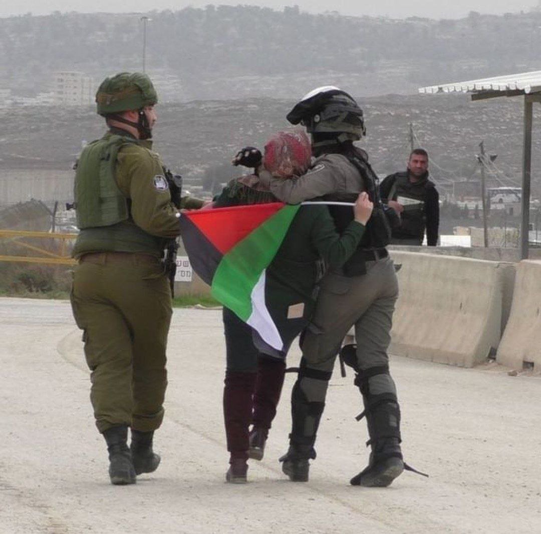 Aya Isleem 🇵🇸 #Gaza tweet media