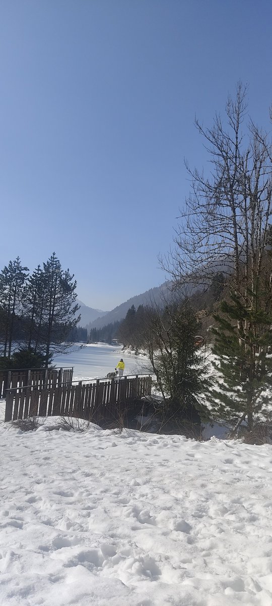 DROUZIN's tweet photo. Du côté de la Haute-Savoie. Le lac de Montrond couvert de glace.
#photograghy
#hautesavoie
#Vacances
#lacdemontagne
#montriond https://t.co/NVMMsmPSI3