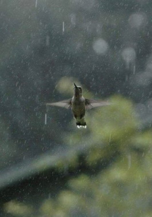 Good morning…☀️

“A lot of what is most beautiful about the world arises from struggle.”

Malcolm Gladwell

Have a good day knowing that we grow through what we go through and each experience teaches us something. Struggle builds character and arms us with knowledge. Be kind 💜