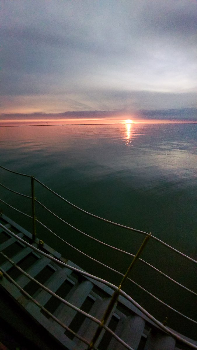 Nih pake redmi note 11 .