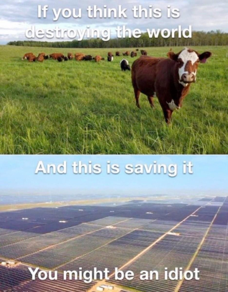 stonemystic1's tweet image. 