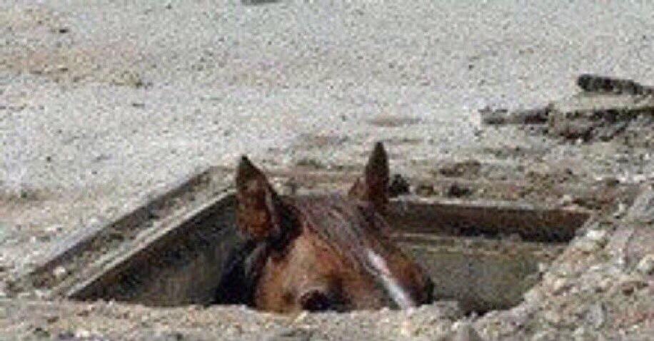 andrewarruda's tweet photo. when i see someone else in the google doc https://t.co/jbJnynENk0