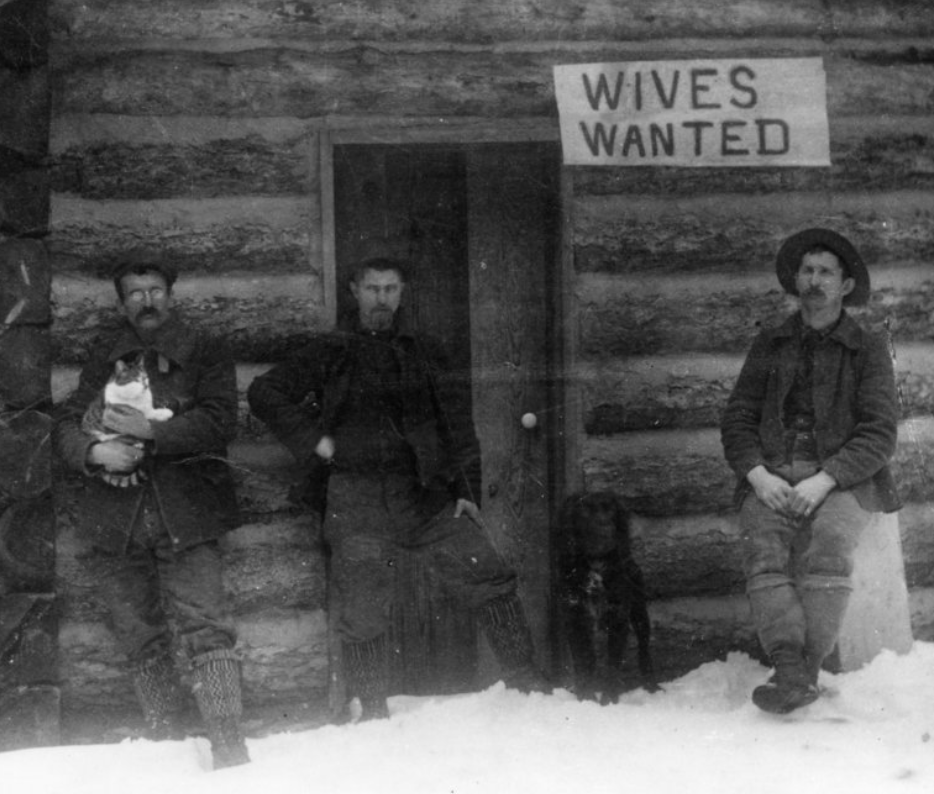 cats-of-yore-on-twitter-a-librarian-at-glacier-national-park-just