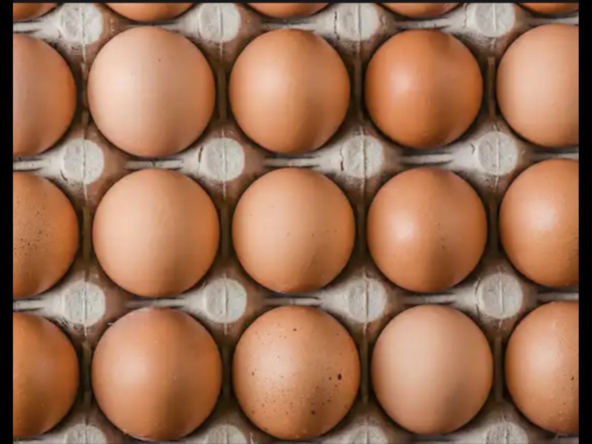 TalkBox101's tweet image. my thoughts on 
Connor Benn 
part 2
#myhonestthoughts