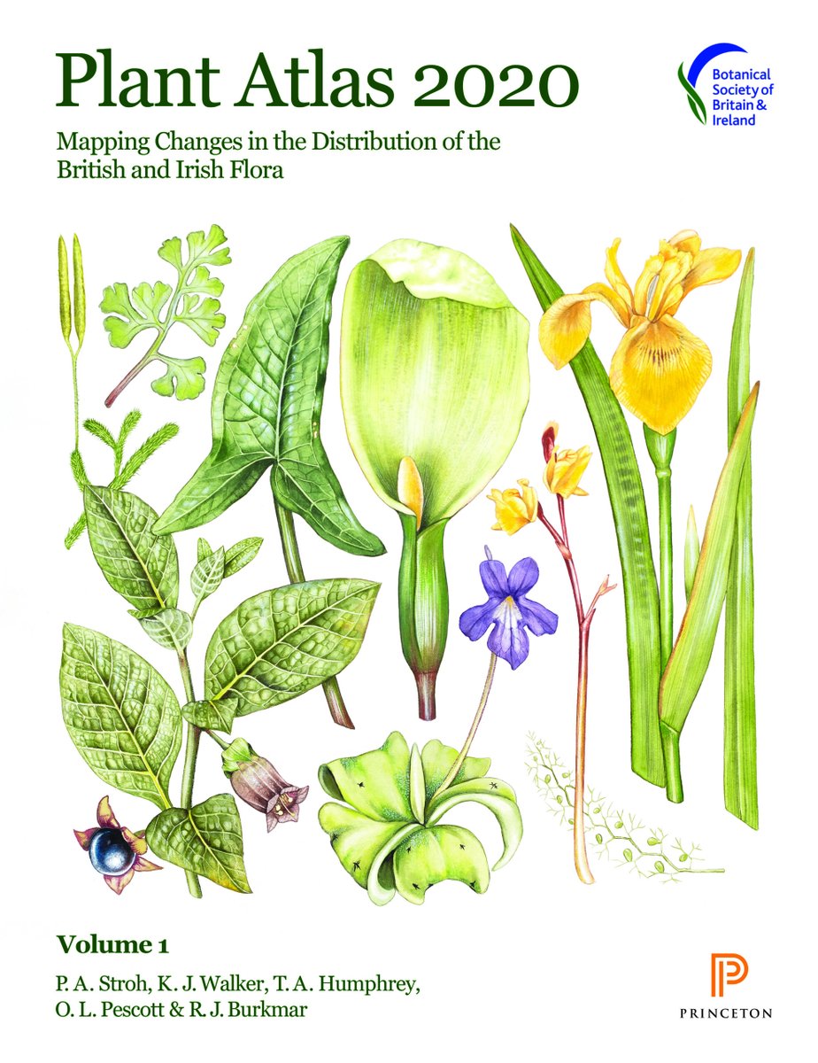 Naturalcalendar's tweet image. Morning folks! Today I'm celebrating yesterday's publication of the @BSBIbotany Plant Atlas 2020. 

Look at this beauty (soooo much work has gone into this). And there's a superb website: plantatlas2020.org/atlas/2cd4p9h.…