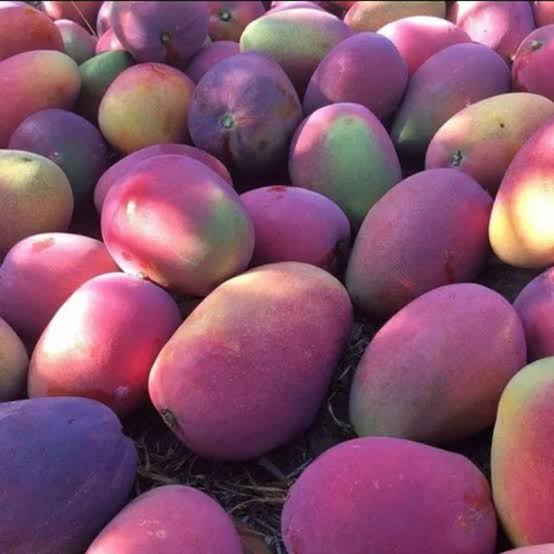 saraswantos's tweet photo. Buah Mangga buah Pepaya
Silakan dimakan bersama Kebab
Mau miskin atau kaya
Yang penting engkau beradab
#pantun #pantunnasihat #pesan #kehidupan #realitas #inspirasi #motivasi #janganmenggeneralisir #wawasdiri #refleksidiri #pembelajaran https://t.co/AZhtFrbwdo