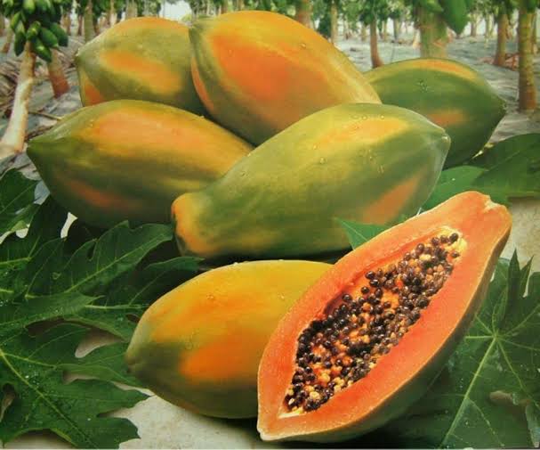 saraswantos's tweet photo. Buah Mangga buah Pepaya
Silakan dimakan bersama Kebab
Mau miskin atau kaya
Yang penting engkau beradab
#pantun #pantunnasihat #pesan #kehidupan #realitas #inspirasi #motivasi #janganmenggeneralisir #wawasdiri #refleksidiri #pembelajaran https://t.co/AZhtFrbwdo