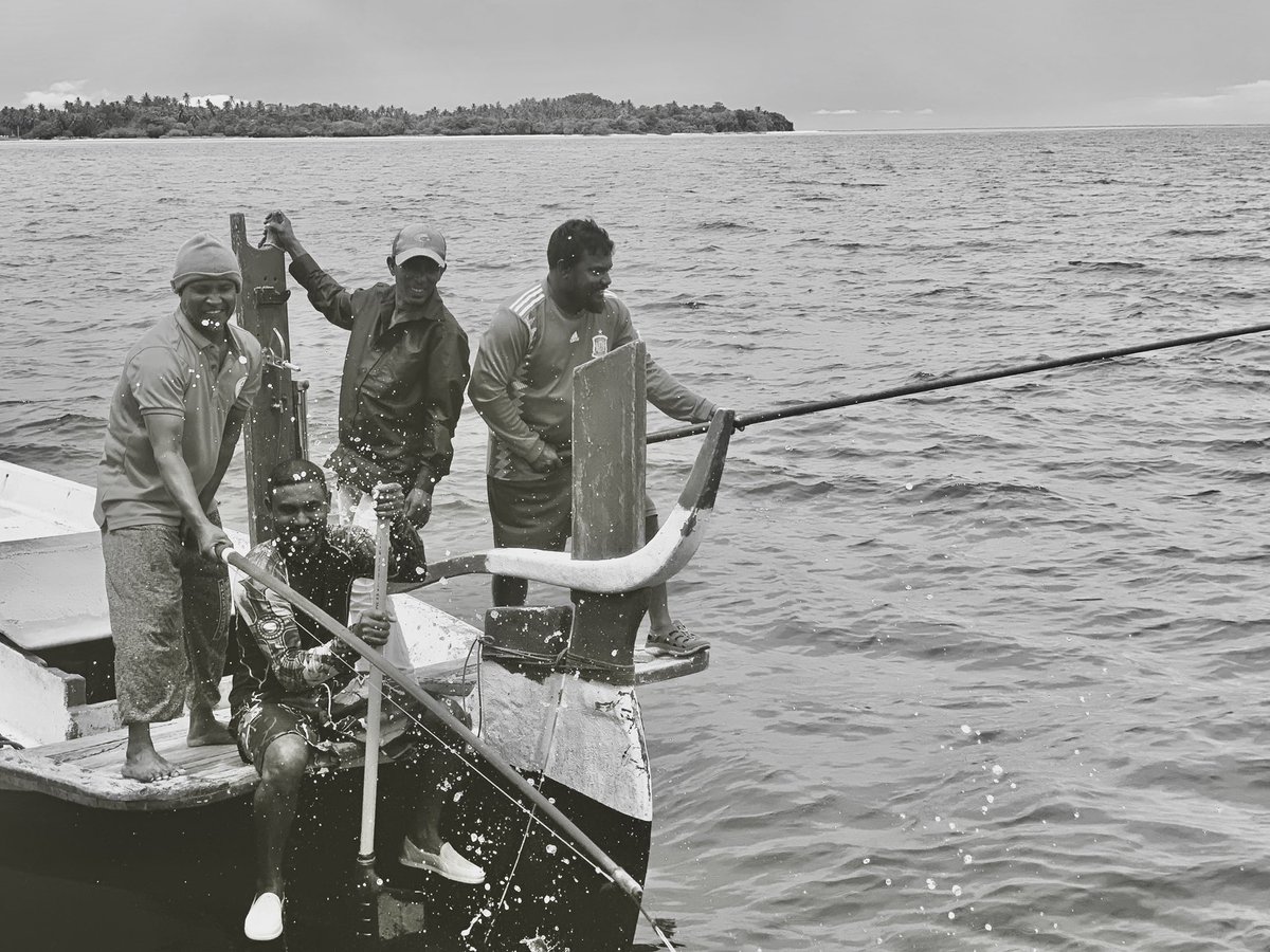 Ian Banks on Twitter "Maldives traditional pole & line tuna fishing