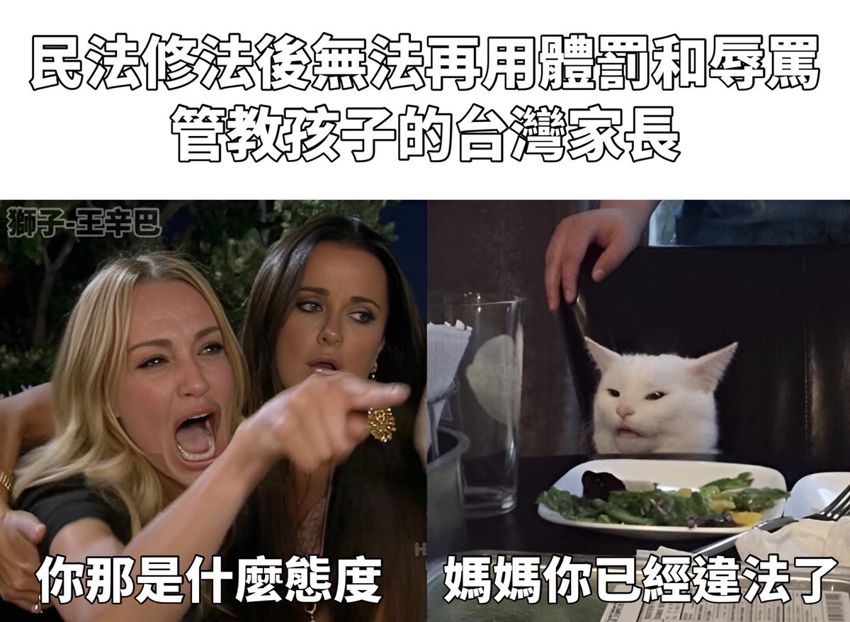 台灣父母

新聞原文：

民法賦予家長懲戒權，得於必要範圍內懲戒子女，不過隨著聯合國《兒童權利公約》禁止體罰小孩，現在法務部也著手修法，明定父母不得對子女有身心暴力行為，像是辱罵、拳打腳踢，甚至不給飯吃等，都可能被視為違法，而濫行懲戒最重可停止親權。

#梗圖 #迷因 #時事 #有趣 #日常