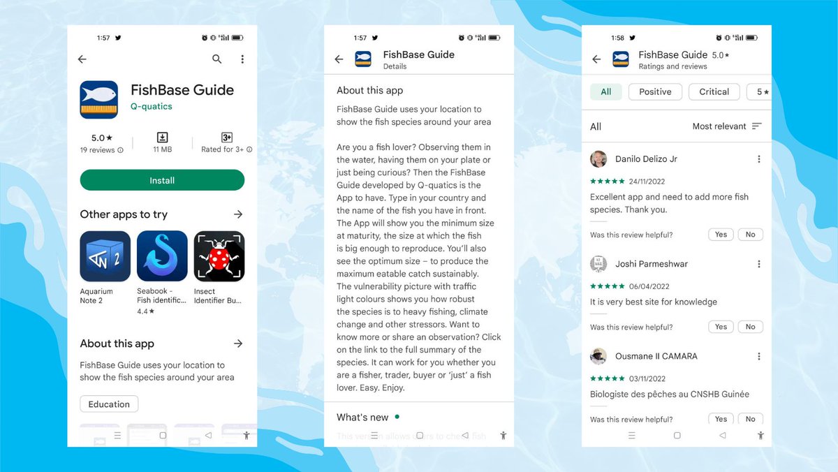 FishBaseProject's tweet image. A condensed version of FishBase.org 🐟🐠🐡 for your android 📱 with its key features &amp;amp; applications 👇 Get #FishBaseGuide app from #GooglePlay. More: bit.ly/FishBaseGuideGP.