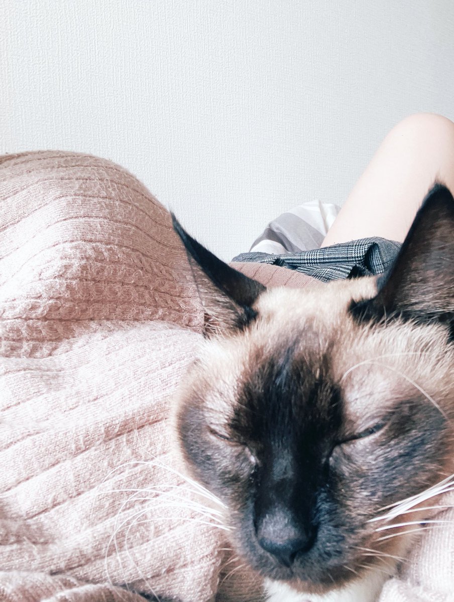 【※3次元注意】私が昼寝から起きれない理由 